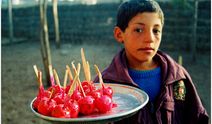 Şanlıurfa-Siverek/1993