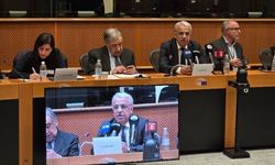 DEM Partili Sancar, AP konferansında konuştu