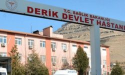Mardin'de silahlı kavgalar durmuyor: Derik'te 5 yaralı