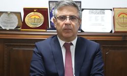 Güleç: Kürt sorununun çözümü AB sürecini hızlandırır