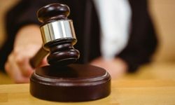Arsayı alınca dedesine bakmayı bıraktı: Tapusu iptal edildi