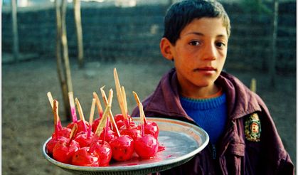 Şanlıurfa-Siverek/1993