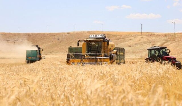 Çiftçi maliyet kıskacında: "Çiftçinin artık umudu kalmadı"