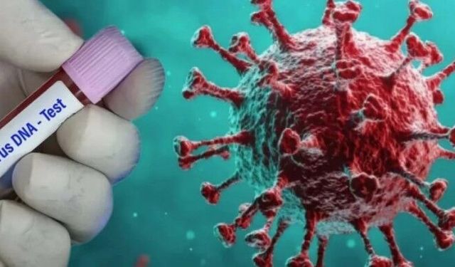 WHO Direktörü’nden Hantavirüs açıklaması: "Bitirmeye çalışıyoruz"