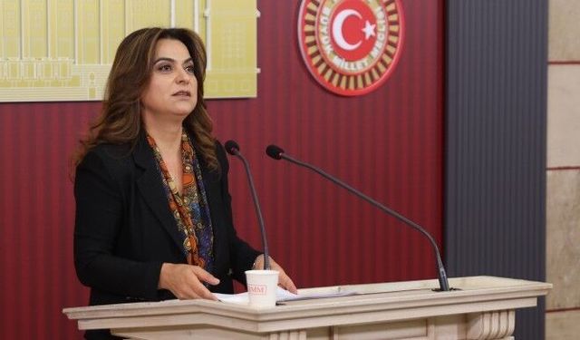DEM Parti'den Meclis'e "çerçeve yasa" çağrısı: Daha fazla beklenmemeli