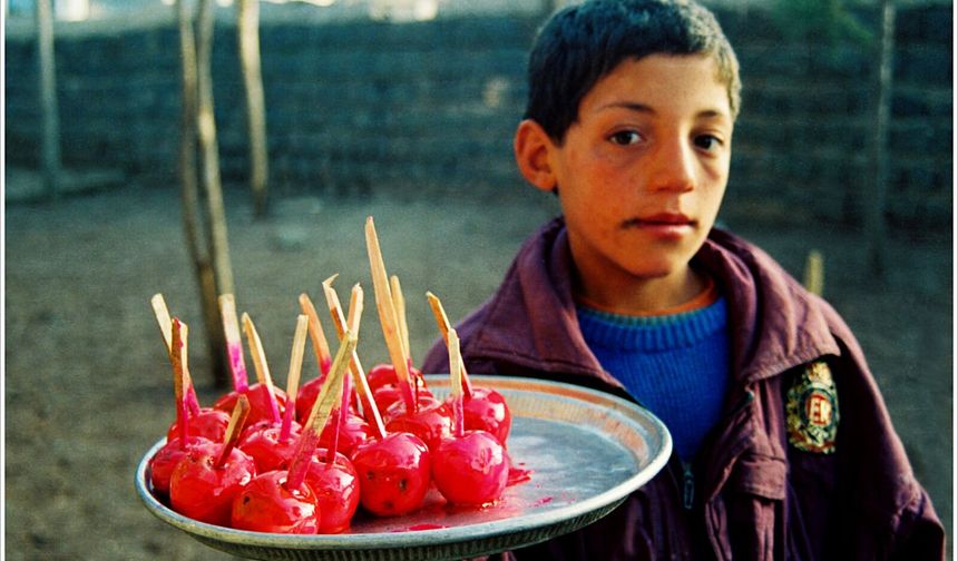 Şanlıurfa-Siverek/1993